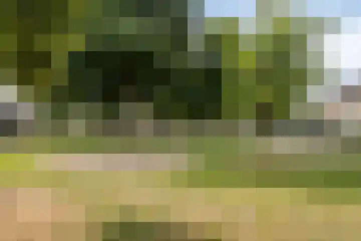Pergamijndonk 8 Maastricht thumbnail 31