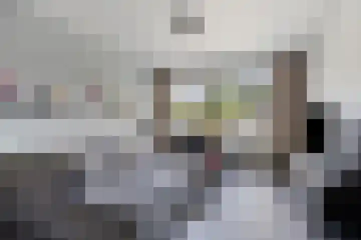 Pergamijndonk 8 Maastricht thumbnail 6