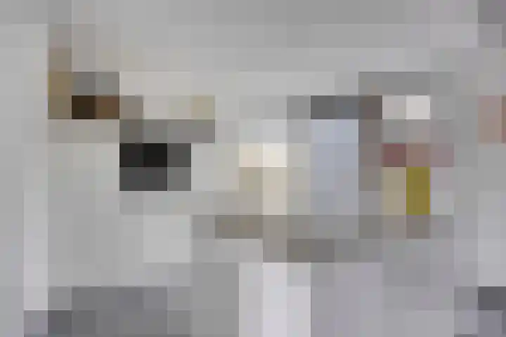 Pergamijndonk 8 Maastricht thumbnail 9