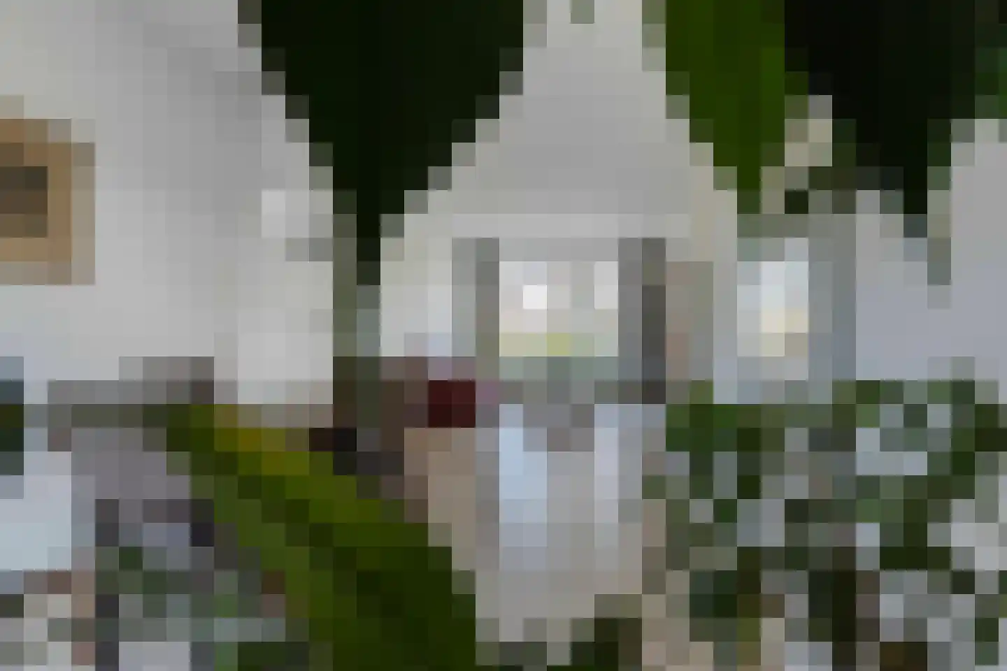Pergamijndonk 92 Maastricht thumbnail 14