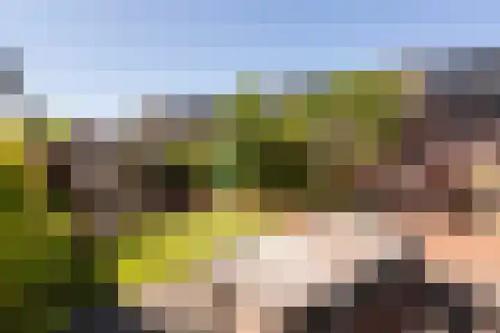 Pergolesilaan 1 Sliedrecht thumbnail 20