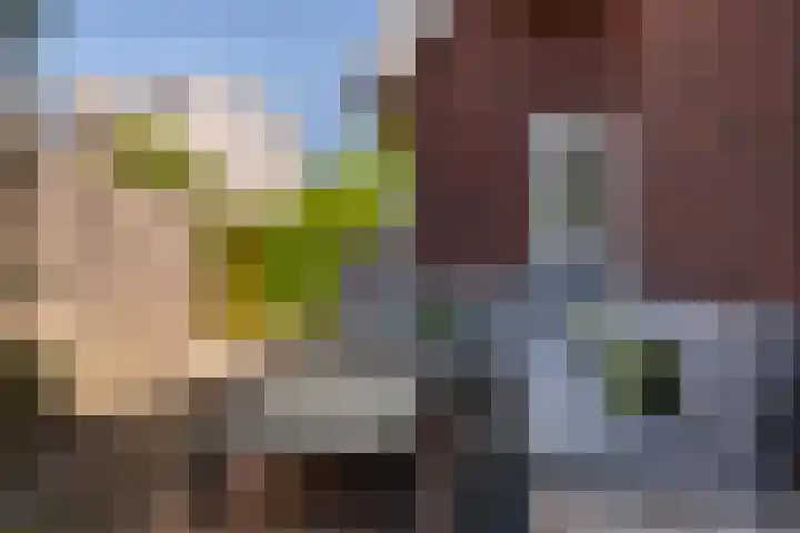 Pergolesilaan 1 Sliedrecht thumbnail 21