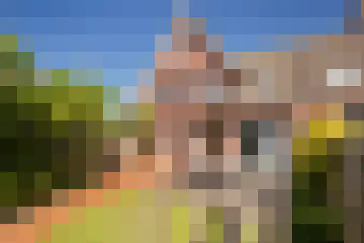 Pergolesilaan 1 Sliedrecht thumbnail 22