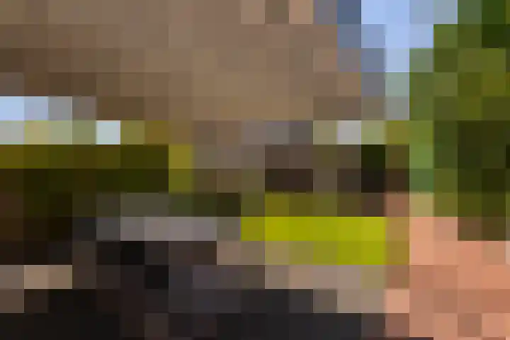 Pergolesilaan 1 Sliedrecht thumbnail 23