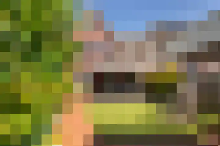 Pergolesilaan 1 Sliedrecht thumbnail 24