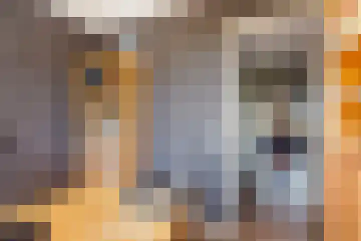 Pergolesilaan 1 Sliedrecht thumbnail 36