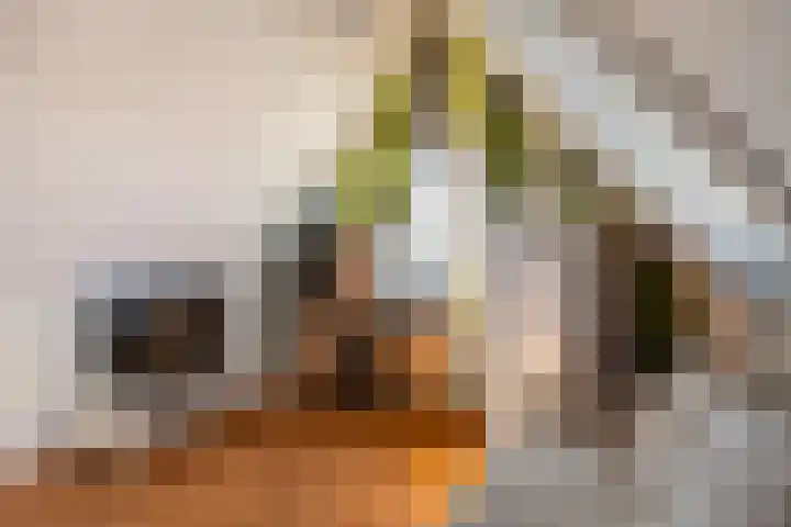 Pergolesilaan 1 Sliedrecht thumbnail 48