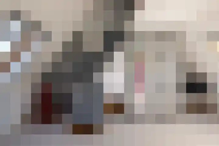 Pergolesilaan 1 Sliedrecht thumbnail 5