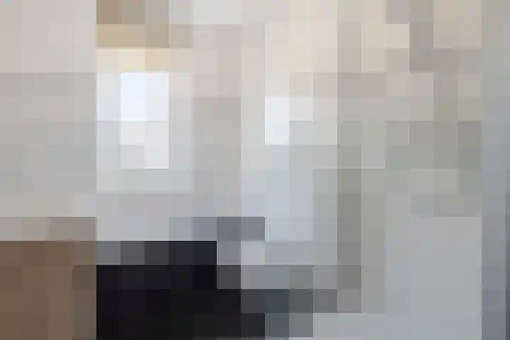 Pergolesilaan 24 Sliedrecht thumbnail 19