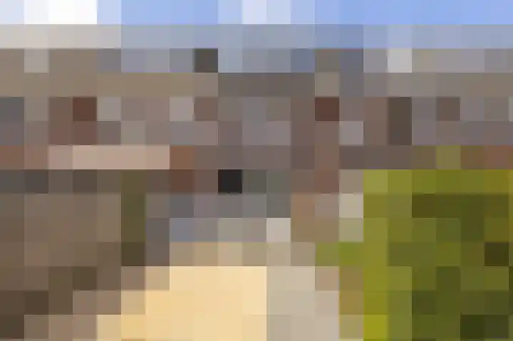 Pergolesilaan 24 Sliedrecht thumbnail 27