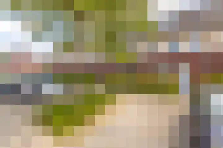 Pergolesilaan 24 Sliedrecht thumbnail 30