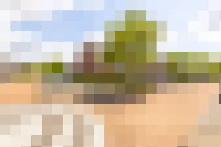 Pergolesilaan 24 Sliedrecht thumbnail 31