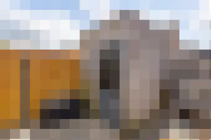 Pergolesilaan 24 Sliedrecht thumbnail 32