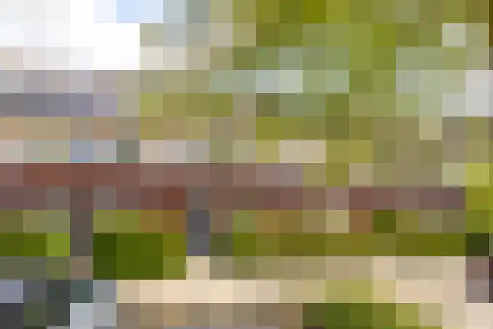 Pergolesilaan 24 Sliedrecht thumbnail 34
