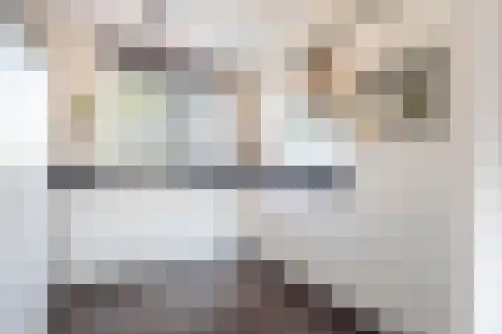 Pergolesilaan 24 Sliedrecht thumbnail 8