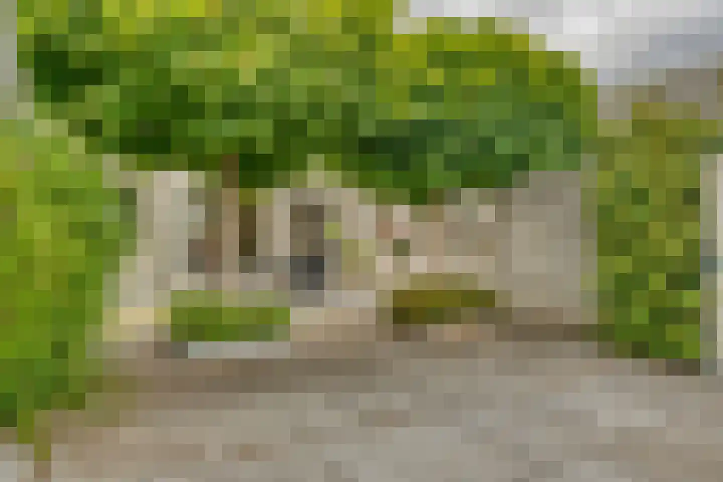 Pergolesistraat 24 Zwijndrecht thumbnail 28
