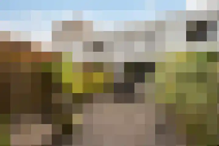 Pergolesistraat 37 Zwolle thumbnail 21