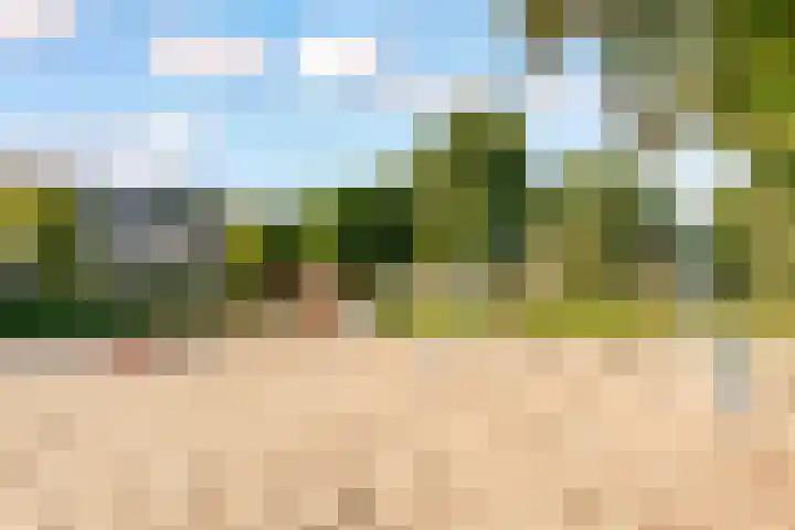 Pergolesistraat 55 Zwolle thumbnail 30