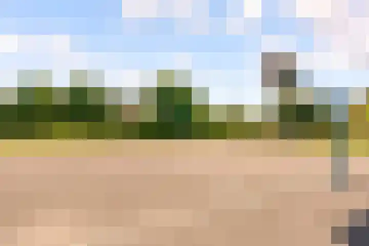 Pergolesistraat 55 Zwolle thumbnail 32