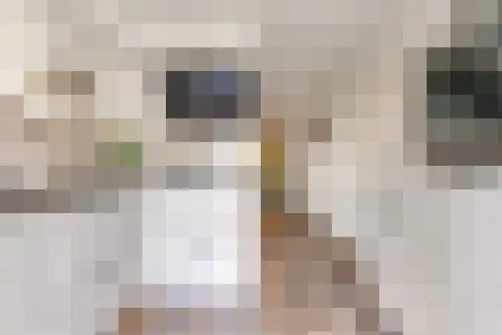 Pergolesistraat 55 Zwolle thumbnail 8
