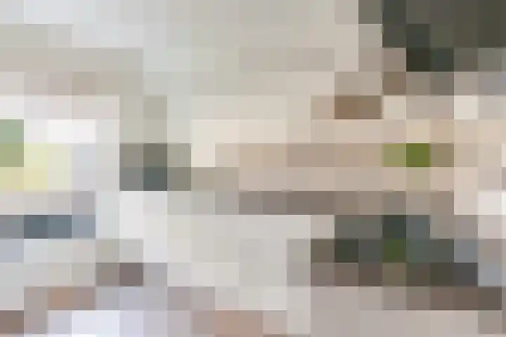 Pergolesistraat 55 Zwolle thumbnail 9