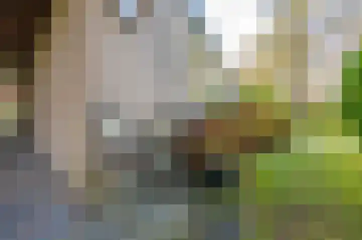 Pericleslaan 2 Assen thumbnail 11