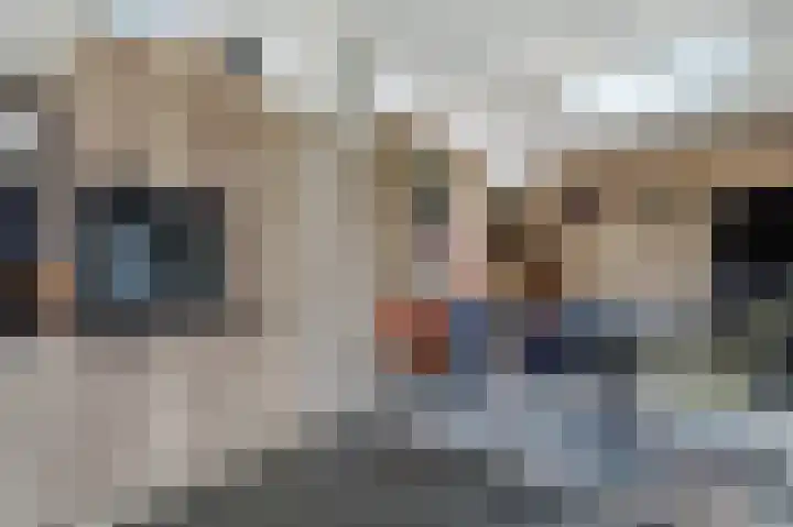 Pericleslaan 2 Assen thumbnail 20