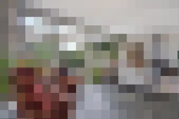 Pericleslaan 2 Assen thumbnail 21