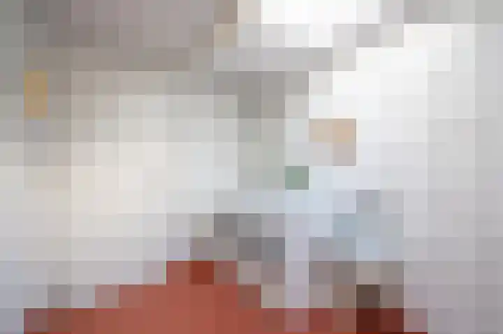 Pericleslaan 2 Assen thumbnail 30