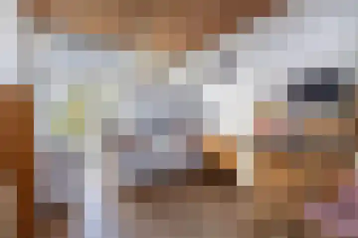 Pericleslaan 2 Assen thumbnail 31