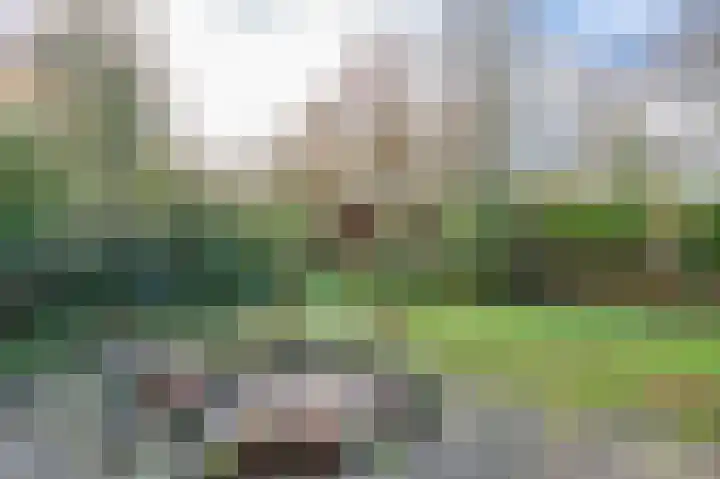 Pericleslaan 2 Assen thumbnail 4
