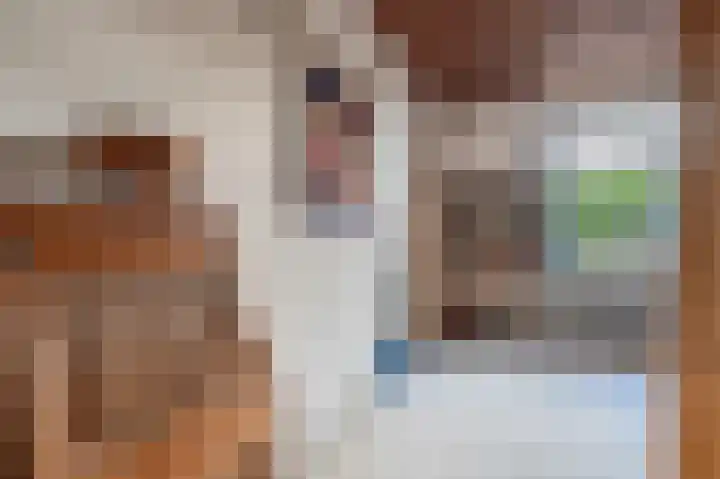 Pericleslaan 2 Assen thumbnail 41