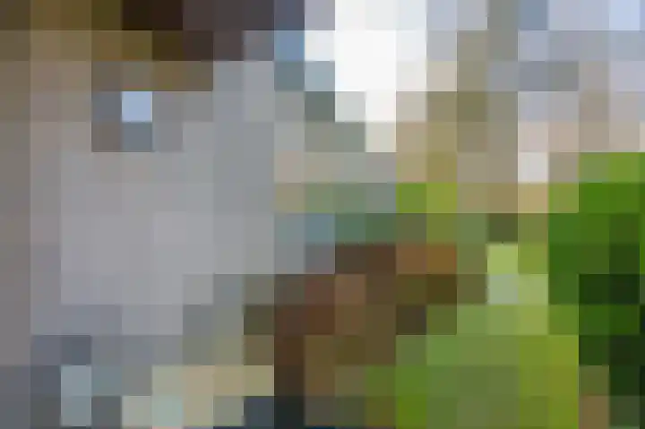 Pericleslaan 2 Assen thumbnail 48