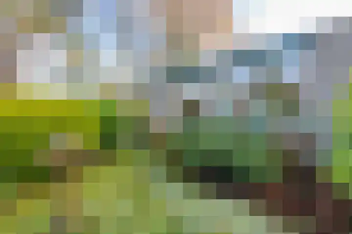 Pericleslaan 2 Assen thumbnail 49