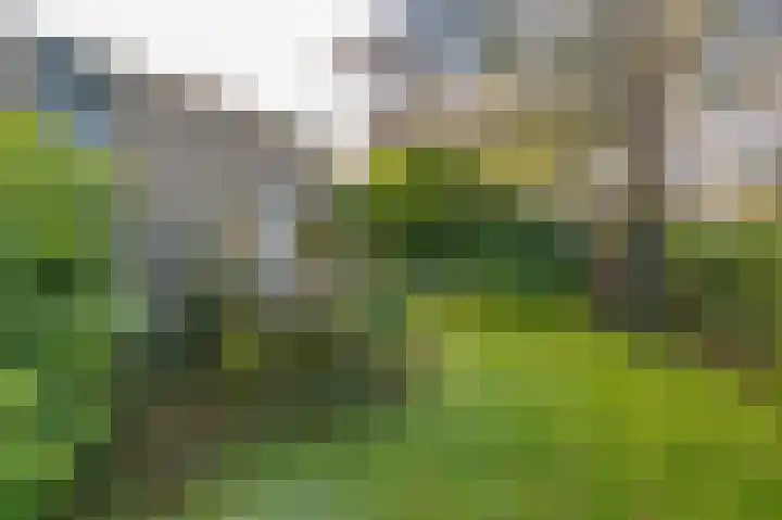 Pericleslaan 2 Assen thumbnail 51