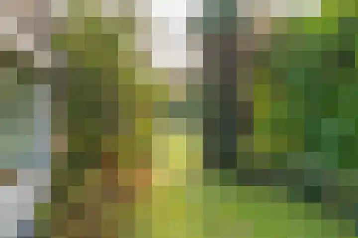 Pericleslaan 2 Assen thumbnail 52