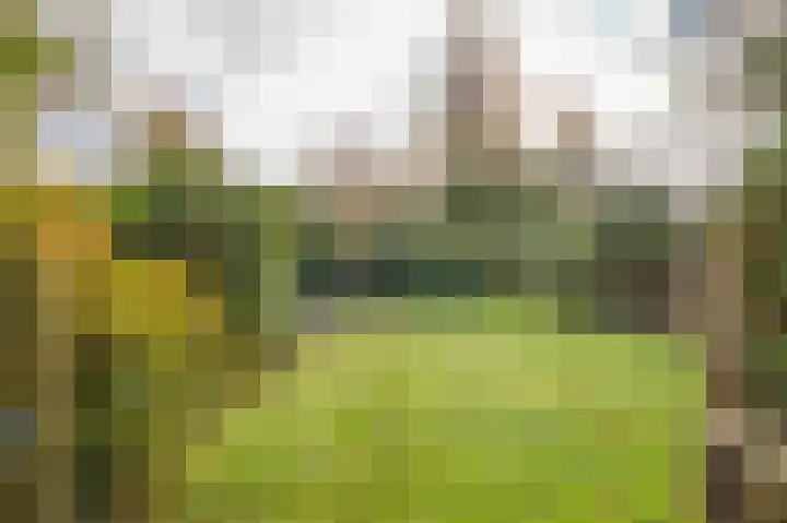 Pericleslaan 2 Assen thumbnail 53