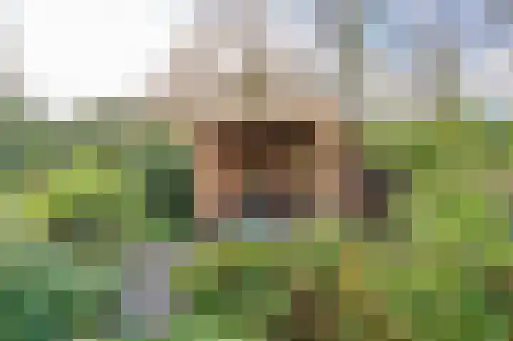 Pericleslaan 2 Assen thumbnail 59