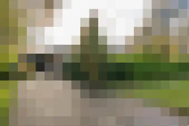 Pericleslaan 2 Assen thumbnail 6