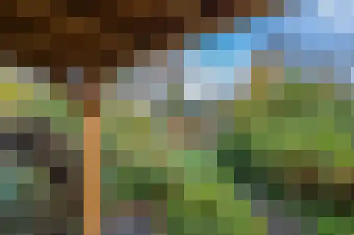 Pericleslaan 2 Assen thumbnail 60