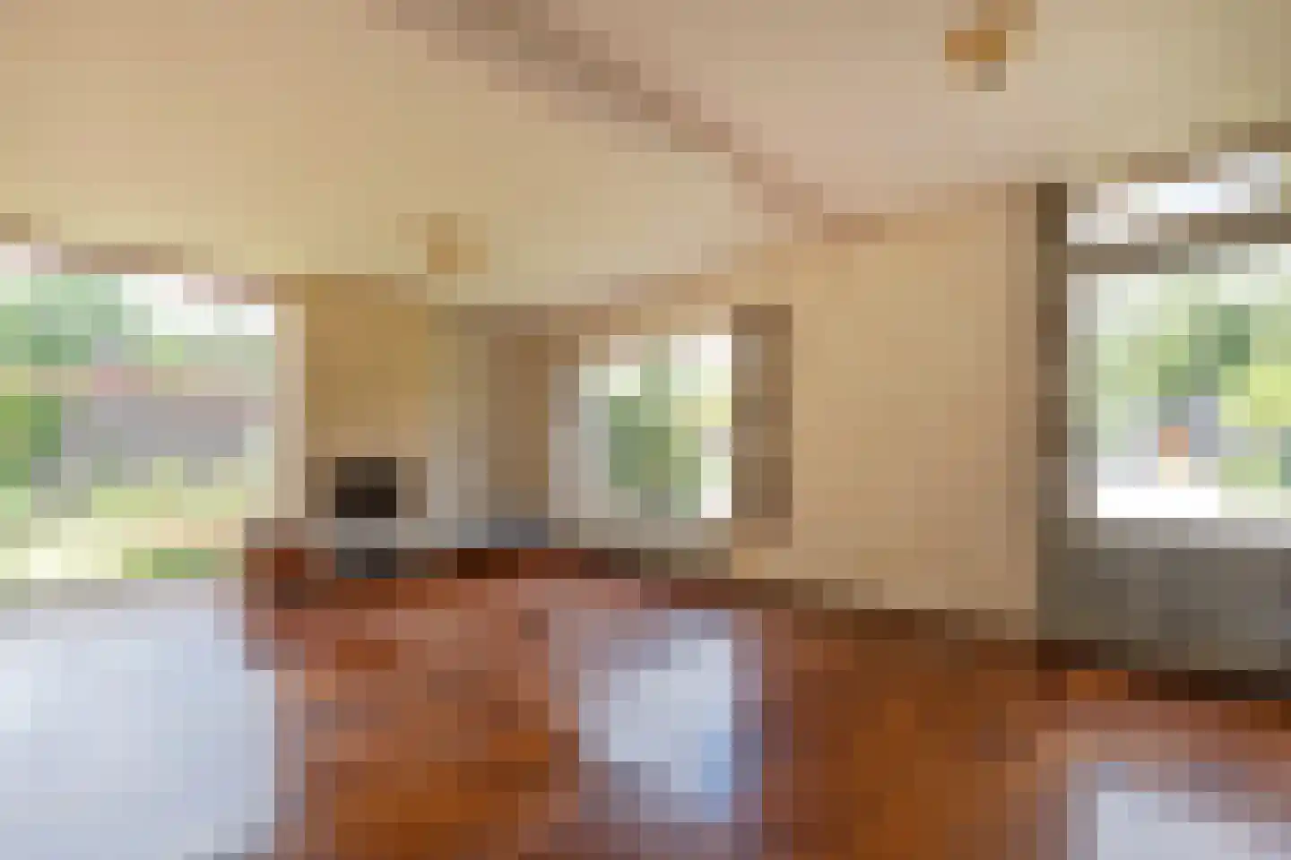 Pericleslaan 8 Assen thumbnail 22