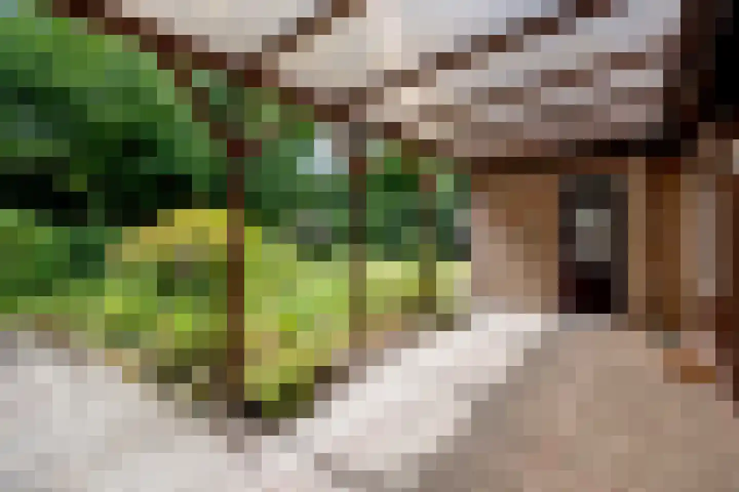 Pericleslaan 8 Assen thumbnail 45