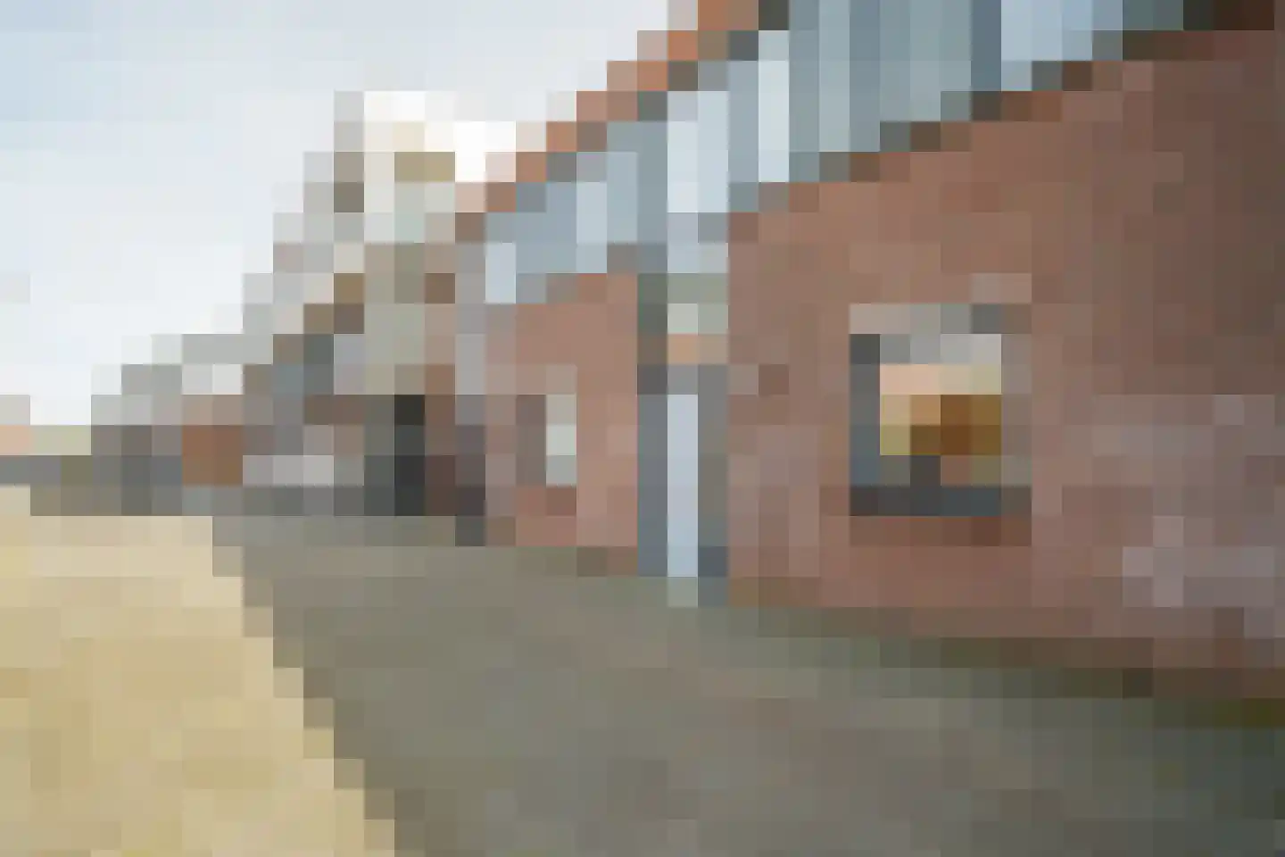 Perikplein 73 Enschede thumbnail 30