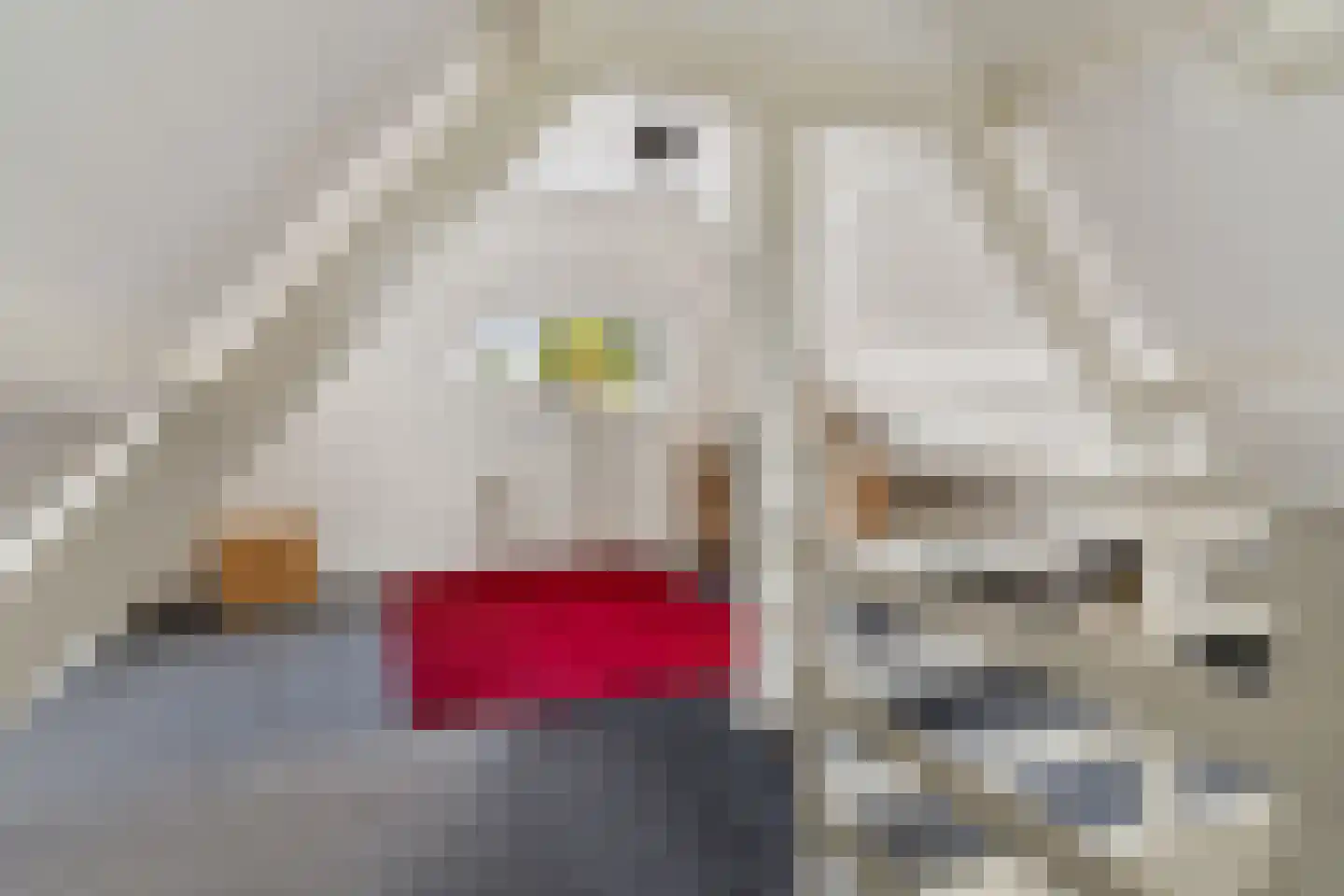 Perikweg 120 Enschede thumbnail 31