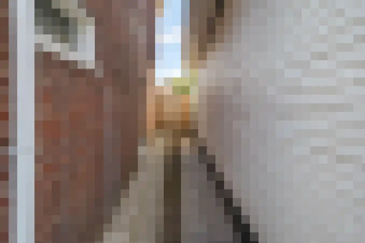 Perikweg 120 Enschede thumbnail 43