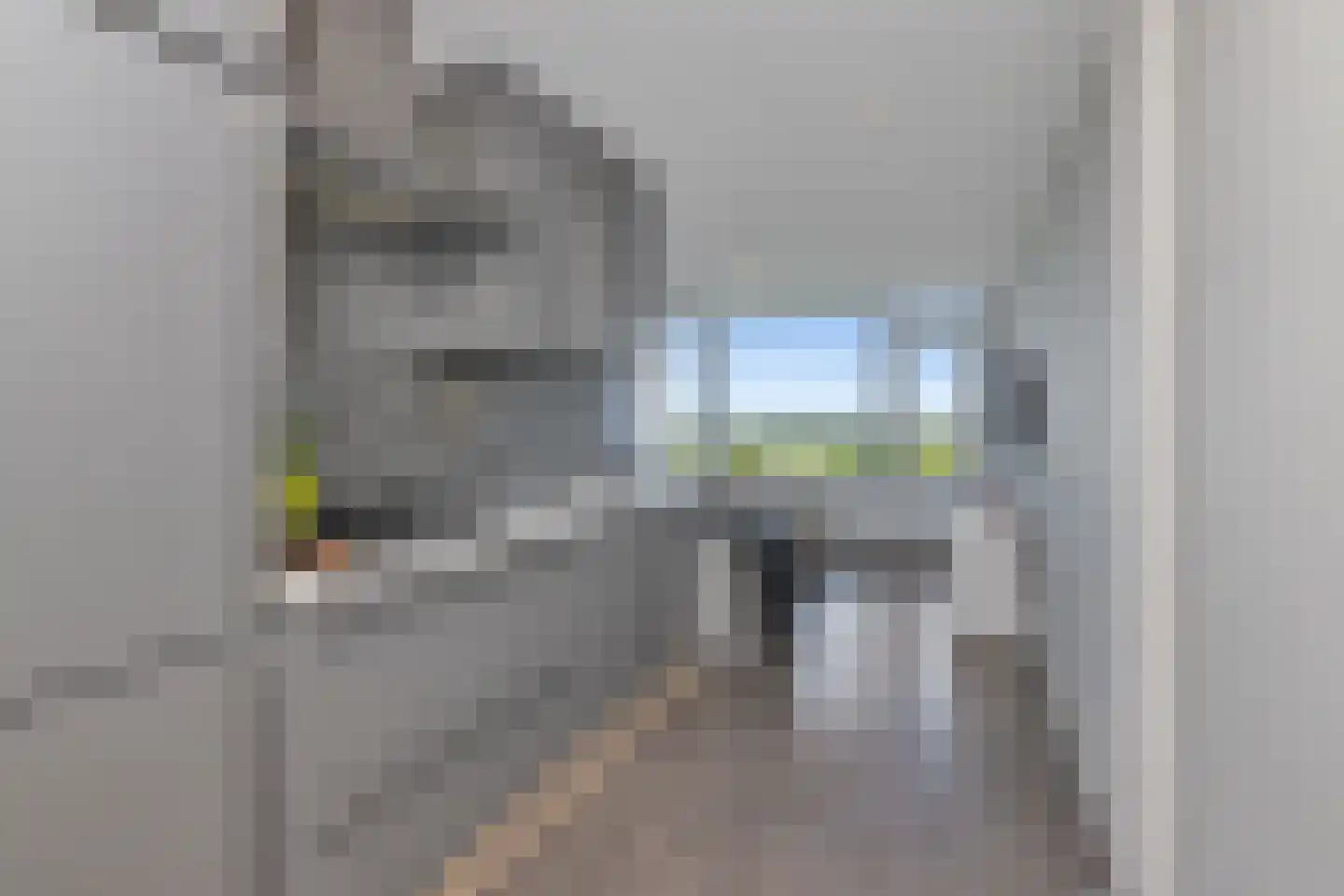 Perim 209 A Zaandam thumbnail 12