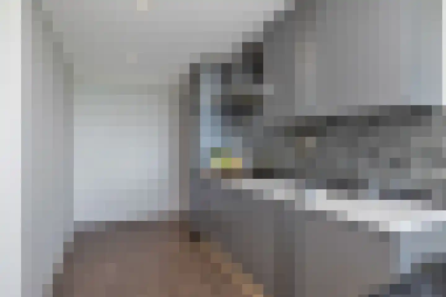 Perim 209 A Zaandam thumbnail 13