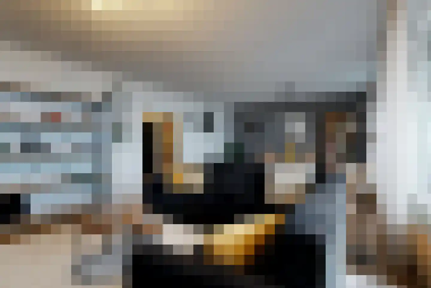 Perim 341 Zaandam thumbnail 13