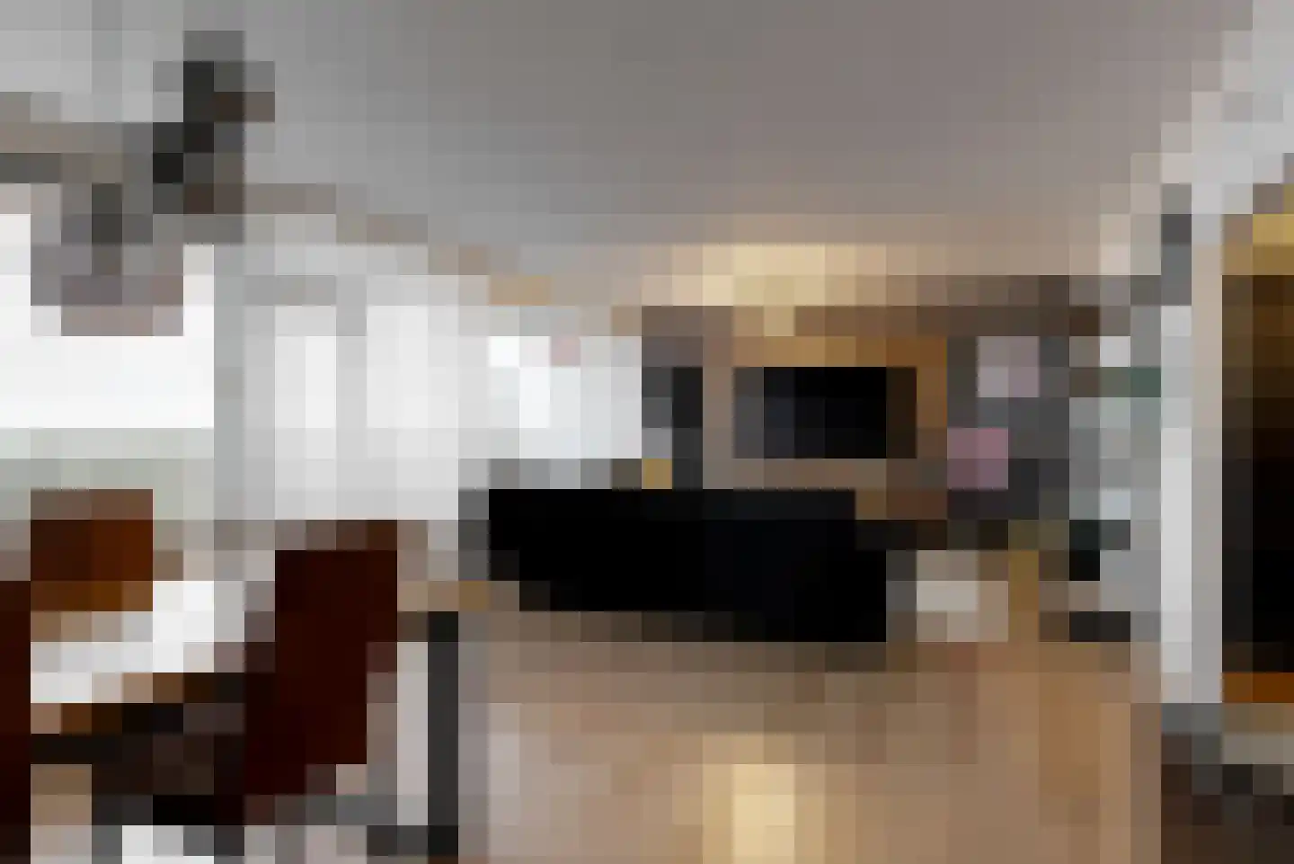 Perim 341 Zaandam thumbnail 14