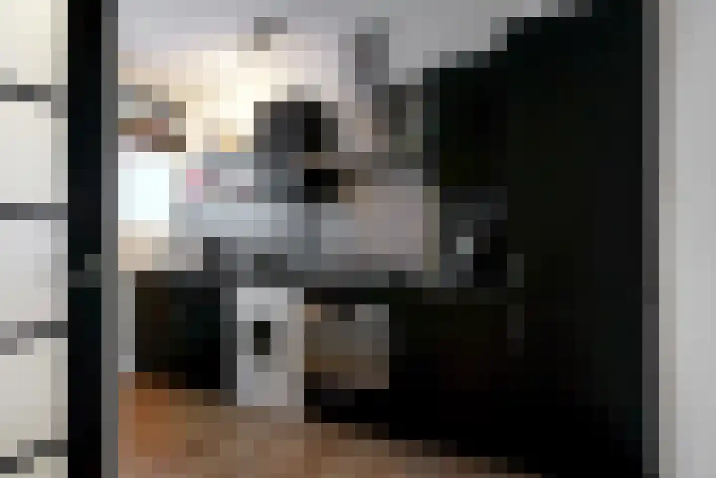 Perim 341 Zaandam thumbnail 4